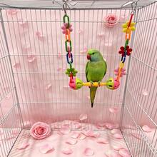 Colorful Floral Chain Bird Swing Toy With Dual Bell Balls, Plastic Hanging Perch Chewing Accessory, Suitable For Budgies, Long-Tailed Parrots, Cockatiels, Lovebirds And Small Parrots, Interactive Cage Toy For Beak Grinding And Boredom Relief, Random Color - View 8