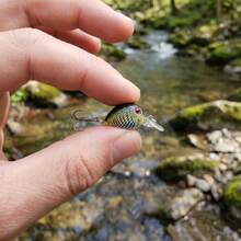Mini Crankbait Lure, Streamlined Realistic Fish Scale Hard Bait With 3D Lifelike Fish Eyes, Built-In Steel Ball Rattle, Equipped With Sharp Triple Hooks, Floating Wobbling Lure, Suitable For Freshwater Bass, Trout, Sunfish Fishing Tackle - Multicolor - View 6