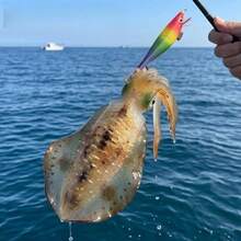 Avlcoaky 5pcs Horizontal Squid Jig Egi Set 11.8cm Luminous Wood Shrimp Fishing Lures UV Sea Cuttlefish Octopus Saltwater Shrimp Jigs - Multicolor - View 4