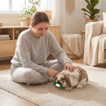 3pcs/Set-Random Color Pet Rabbit Felt Ball With Built-In Bell Dumbbell Shaped Toy - Rabbit Bite And Toss Toy - Consume Rabbit Energy - Simple Play - Toss And Sound To Attract Pet Interest - Rabbit Toy Rabbit Supplies Small Animal Toy - Multicolor - View 6