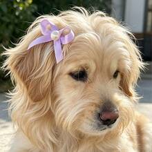 2pcs Pet Bow Hair Clips, Cute Cat Pearl Bow Headband, Dog Birthday Accessory - Blue - View 6