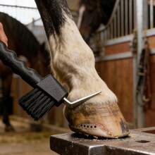 Must-Have For Horse Owners! 2-In-1 Multifunctional Hoof Pick & Cleaning Brush, Hoof Hook + Stiff Bristle Brush, Non-Slip Handle For Easy Mud And Dirt Removal, Horse Stable Care Tool - 2-in-1 Dual-purpose Horseshoe Hook - View 2
