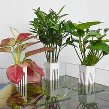 1個懸掛式水生植物架，壁掛式水耕植物籃，附槽形側板，適用於水族水草與水下綠植佈局，浮魚缸裝飾 - 多色 - 查看 5