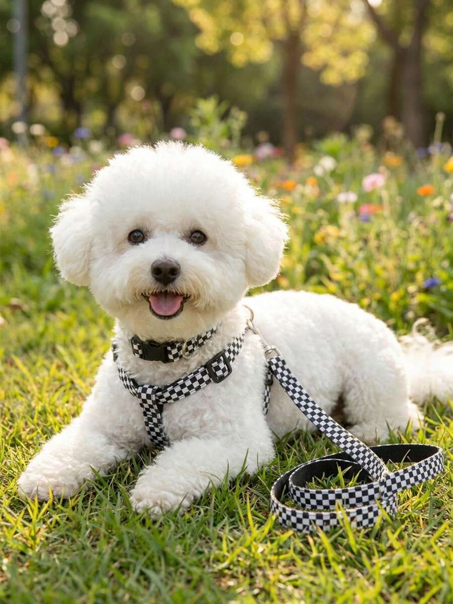 1 Set Polyester Minimalist Black & White Plaid Collar, Chest Harness & Leash, Suitable For Small Breeds Like Teddy & Poodle When Going Out - Black and White - View 1