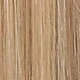 Blonde Highlight