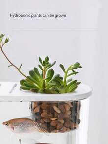 Creative Desktop Plastic Fish Tank, Transparent Plastic Mini Aquarium Vase, Modern Home Office Decor, Betta Fish Habitat And Hydroponic Plants (Plants And Tank Decor Not Included) - Multicolor - View 4