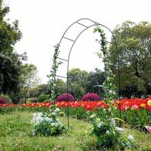 黑色金屬花園拱門鋼架,適用攀爬植物與玫瑰,室內/室外通用,適合後院、草坪、露台、庭院、婚禮裝飾 - 黑色 - 查看 5
