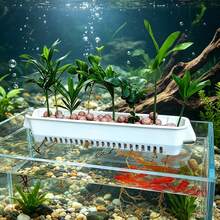 1個懸掛式水生植物架，壁掛式水耕植物籃，附槽形側板，適用於水族水草與水下綠植佈局，浮魚缸裝飾 - 多色 - 查看 9