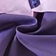 Viola viola
