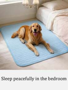 Breathable Easy-To-Wash Cat & Dog Cooling Mat, Universal Ice Pad For Small, Medium, And Large Dogs, Summer Pet Cooling Ice Silk Mat + Squeaky Dog Toy Set, Rubber Durable Chewable Fruit Ice Squeaky Toy, Dual-Effect Cooling And Energy Release, Suitable For Home Floor, Dog Bed, Crate, Outdoor Lawn Interactive Play, Pet Owners, Pet Families, Dog & Cat Lovers, Summer Pet Cooling Gift, Dog Birthday Gift - Multicolor - View 4
