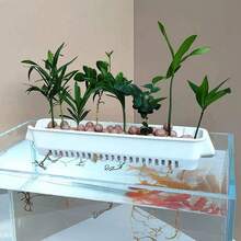 1個懸掛式水生植物架，壁掛式水耕植物籃，附槽形側板，適用於水族水草與水下綠植佈局，浮魚缸裝飾 - 多色 - 查看 7