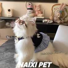 Vestido de Princesa para Mascotas de Verano Fino y Transpirable, Conjunto Romántico Esponjoso Anti-Desprendimiento Fresco, Chaleco Lindo sin Mangas para Perros y Gatos Pequeños y Medianos, Adecuado para Teddy Bichón Yorkie Pomerania Chihuahua Gatito Cachorro - Blanco - Ver 3