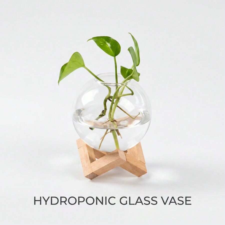 圓形玻璃花瓶附木製底座,水培植物種植台,適合客廳、廚房、臥室、書桌裝飾,植物愛好者禮物 - 10CM+木架 - 查看 1