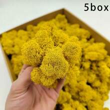 1 Box Artificial Moss, Eternal Moss For Home Decor, Holiday Photography Props, Fairy Garden, Crystal Tank, Crafts And Wedding, DIY Garden Fish Tank Decoration - Yellow - View 6