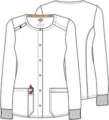 Dickies - Azul galaxia - Ver 9