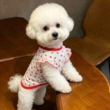 小型犬公主蕾絲裙 蘿莉塔風格寵物女犬服飾 透氣彈性可愛外套套裝 春季寵物女裝 - 彩色 - 查看 9