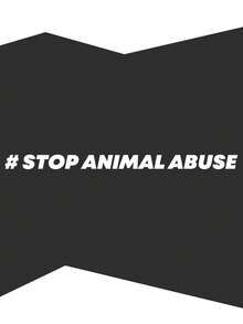 STOP ANIMAL ABUSE - Vinyl Sticker, Suitable For Cars, Laptops, Water Bottles, Etc. Car Accessories Sticker. - Stop the Abuse - View 8