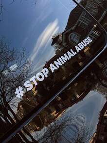STOP ANIMAL ABUSE - Vinyl Sticker, Suitable For Cars, Laptops, Water Bottles, Etc. Car Accessories Sticker. - Stop the Abuse - View 3