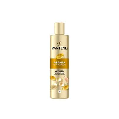 Pantene شامبو وبلسم