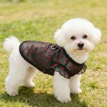 小型犬公主蕾絲裙 蘿莉塔風格寵物女犬服飾 透氣彈性可愛外套套裝 春季寵物女裝 - 彩色 - 查看 16