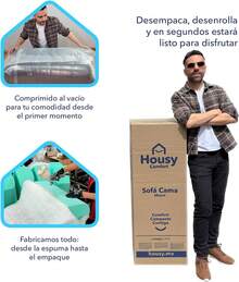 Sofá Cama Miami |   Multifuncional Comprimido 2 Plazas 2 Camas Individuales o 1 Queen (Gris Oscuro) - Beige - Ver 8