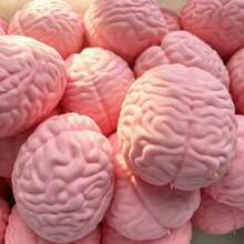 1個大腦捏捏玩具 紓壓捏捏球 柔軟彈力 趣味紓壓玩具 緩解焦慮 嗜好收藏 派對小禮 青年創意 青年紓壓 節日禮物 情人節禮物 生日禮物 軟黏球 - 彩色 - 查看 2