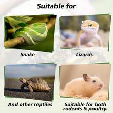 Sukh 14OZ Natural Aspen Shavings Reptile Bedding, Soft Wood Shavings Terrarium &Amp; Tank Substrate, Nesting Material For Snake, Lizard, Tortoise, Small Animal, Rabbit, Chicken &Amp; Bird - ColorA - View 6
