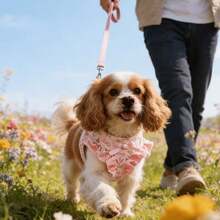 Pet Harness And Leash Set, Cute Floral Pearl Ruffle Bowknot Dog Vest Harness, Double-Layer Soft Breathable For Teddy Small Dogs Outdoor Walking - Pink - View 11