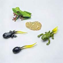 4pcs Tree Frog Life Cycle Animal Model Solid Plastic Model Doll Children's Doll Animal Figurine Kids Gift - 綠色 - 查看 6