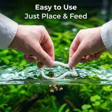 3D Printed Fish Tank Feeding Ring | Universal Anti-Scatter Hanging Feeding Ring | Convenient Aquarium Feeding, Neat And Organized, Enhances Visual Appeal - View 4