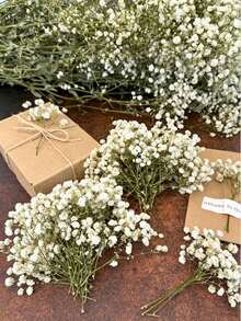 50pcs Pure White Artificial Mini Baby's Breath Flowers - Delicate DIY Handmade Flowers, Suitable For Wedding, Home And Office Decoration, Party And Garden - Multicolor - View 2
