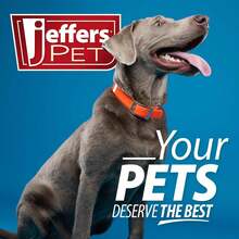 Jeffers Pet Vanilla Walnut Conditioning Dog &Amp; Cat Shampoo, 128 Oz - Exfoliating Grooming Wash, Coconut Based Soap Free Formula, Walnut Oil &Amp; Vanilla Extract, Vitamins A D E, Concentrated Coat Care - White - View 3