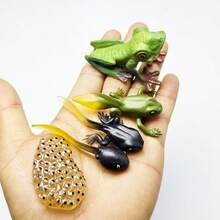4pcs Tree Frog Life Cycle Animal Model Solid Plastic Model Doll Children's Doll Animal Figurine Kids Gift - 綠色 - 查看 3