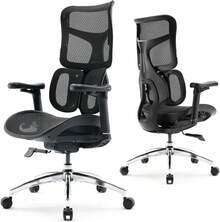 SIHOO Doro S100 Silla ergonómica de oficina – Soporte lumbar dinámico doble, reposabrazos coordinados 4D, respaldo ajustable de 5 niveles, ángulo de reclinación de 135 grados máx. Adecuado para - Negro - - Ver 1