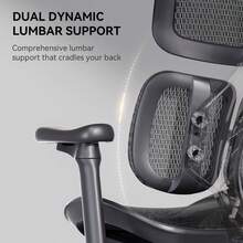 SIHOO Doro S100 Silla ergonómica de oficina – Soporte lumbar dinámico doble, reposabrazos coordinados 4D, respaldo ajustable de 5 niveles, ángulo de reclinación de 135 grados máx. Adecuado para - Negro - - Ver 4