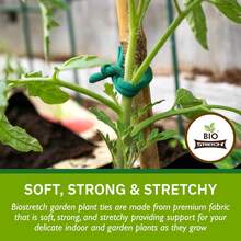Biostretch Soft Garden Plant Ties For Indoor &Amp; Outdoor Plants - Strong &Amp; Stretchy Cut-To-Length Plant Tape For Climbing Plants, Tomato Vines &Amp; Home Gardening (656 Ft / 200M) - ColorE - View 1