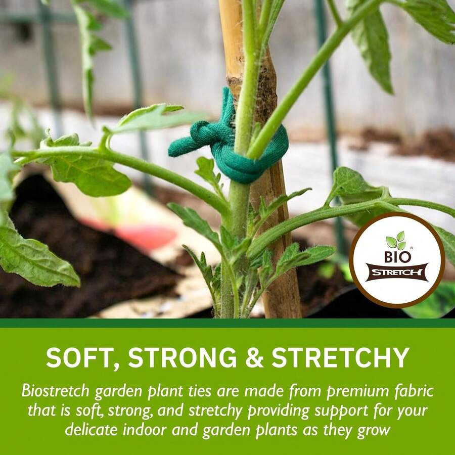 Biostretch Soft Garden Plant Ties For Indoor &Amp; Outdoor Plants - Strong &Amp; Stretchy Cut-To-Length Plant Tape For Climbing Plants, Tomato Vines &Amp; Home Gardening (656 Ft / 200M) - ColorE - View 1