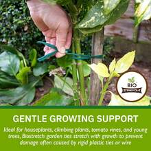 Biostretch Soft Garden Plant Ties For Indoor &Amp; Outdoor Plants - Strong &Amp; Stretchy Cut-To-Length Plant Tape For Climbing Plants, Tomato Vines &Amp; Home Gardening (656 Ft / 200M) - ColorE - View 2