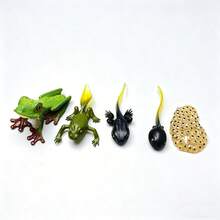 4pcs Tree Frog Life Cycle Animal Model Solid Plastic Model Doll Children's Doll Animal Figurine Kids Gift - 綠色 - 查看 5