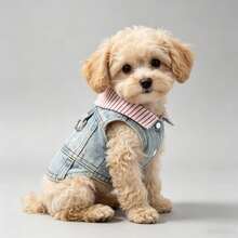 Dog Coat, Fashionable Soft Dog Clothes, Suitable For Small And Medium Dogs, All Seasons, Durable Puppy Coat, Pet Apparel - Red - View 11
