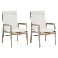 2 Comfortable And Breathable Outdoor Dining Chairs, Wood-Plastic Composite Armrests, Teslin Seat, Galvanized Iron Frame, Khaki And Beige - Beige - View 1