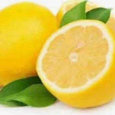 Heirloom Dwarf Bonsai Lemon Seeds - 30+ Perfect For Indoor Or Plants   Vegetable Seeds