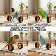 Parrot Balance Toy Skateboard - Parrot, Wave Parrot, Couple Parrot, Little Sunflower Parrot, Cone Parrot Training And Intelligence Toy - Fun Bird Cage Toy And Accessories, Relieve Boredom, Exercise Skills And Coordination Ability - A+B - View 7