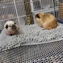 1pc Super Absorbent, Breathable & Non-Slip Pet Sleeping Mat, Washable Small Pet Nest Pad, Suitable For Guinea Pigs, Rabbits, Various Birds, Cats, Reptiles And Amphibians - View 9