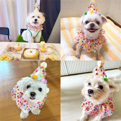 2pcs Polka Dot Lace Bib And Hat Set, Perfect For Dog Birthday Outfit. Polka Dot Scarf Is Also An Excellent Accessory For Cat Holiday Outfit