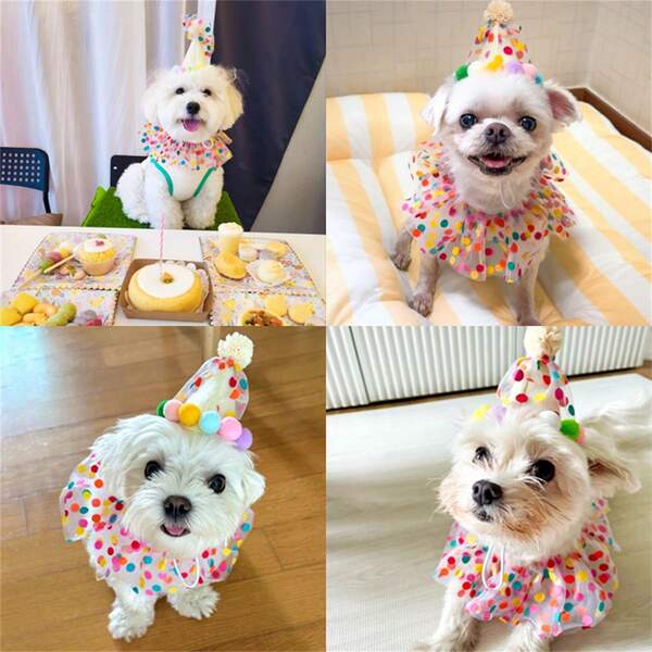Conjunto de 2 piezas de babero y sombrero de encaje con lunares, perfecto para el atuendo de cumpleaños de un perro. El pañuelo con lunares también es un excelente accesorio para el atuendo festivo de un gato
