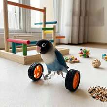 Parrot Balance Toy Skateboard - Parrot, Wave Parrot, Couple Parrot, Little Sunflower Parrot, Cone Parrot Training And Intelligence Toy - Fun Bird Cage Toy And Accessories, Relieve Boredom, Exercise Skills And Coordination Ability - A+B - View 6