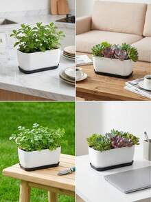 1入自動澆水多肉植物盆栽，附可拆卸接水盤，透氣底座，微量儲水，塑膠花盆，現代極簡風，白黑配色，正方形與長方形，適用多肉植物、香草，室內窗台桌面居家裝飾 - 塑膠多肉專用盆 - 查看 1