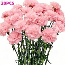 20PCS Artificial Carnations Flowers, Fake Plants, Mother's Day Valentine's Day Silk Carnations, Suitable For Wedding Centerpiece Decoration, Bridal Shower, Table Decor, Home Party, Birthday Decoration, Realistic Carnations, Artificial Flower Stems, Silk Artificial Flowers, Funeral Arrangement, Wedding Bouquet, Cemetery Wreath, DIY Crafts - Pink - View 2