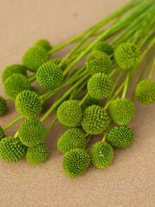 10/20pcs Artificial Craspedia Stem Yellow Billy Ball Flower Heads, Large Diameter Approx 1-1/2 Inch, For Home Decor, Photo Props, DIY Wedding Decoration - Yellow-green Gold Ball - View 6
